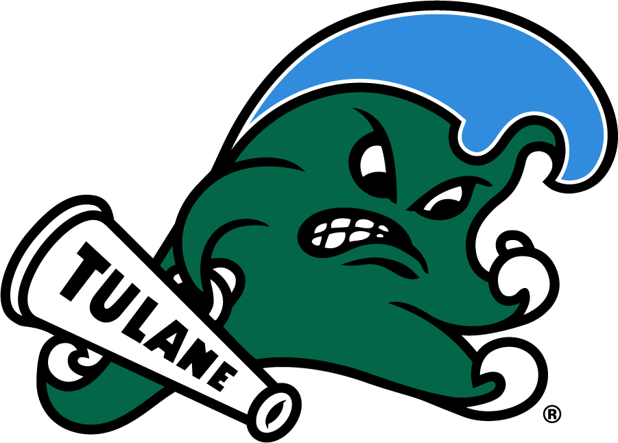 Tulane Green Wave 2017-Pres Primary Logo t shirts iron on transfers